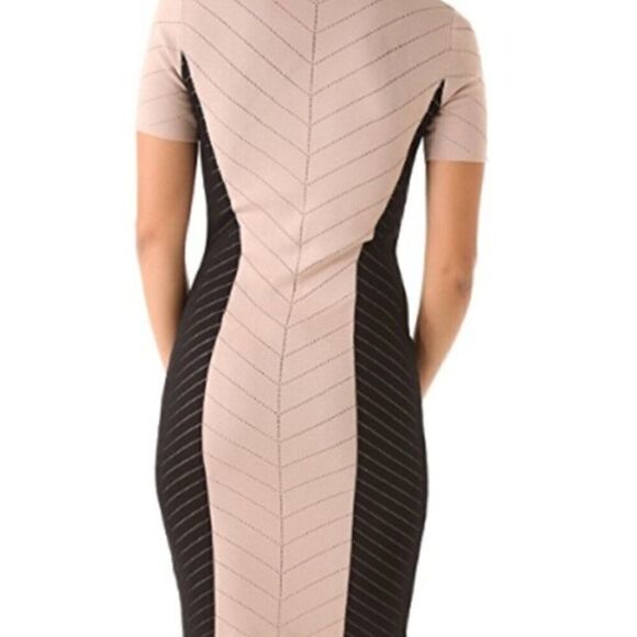 NWT Torn Ronny Kobo S Caterina Dress BodyCon Fitted Stretchy Sexy Black Nude Tan - Picture 5 of 7